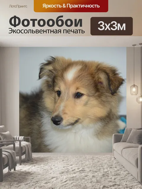 Фотообои Шелти