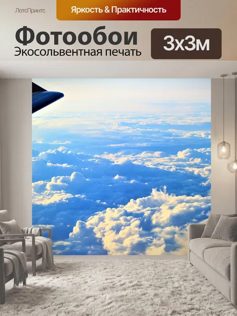 Фотообои С самолета