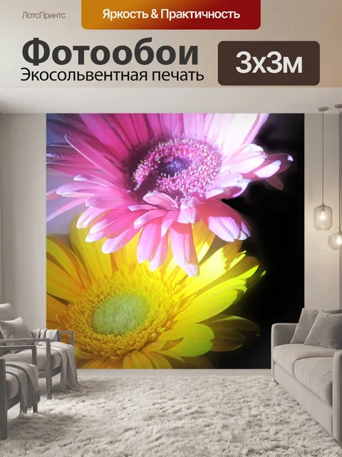 Фотообои Гербера ромашка 012