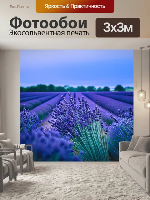 Фотообои синий: лавандовые поля, утопающие в синем свете раннего утра, где капли росы сверкают на растениях