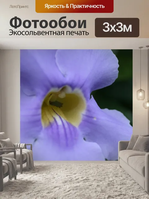 Фотообои Коста-Рика Цветы
