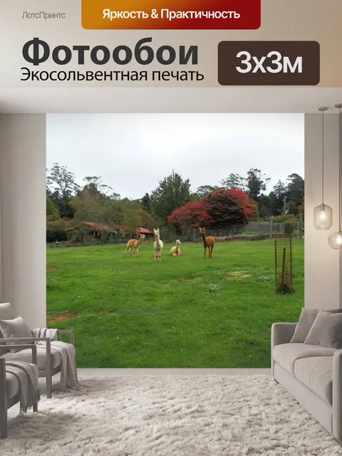 Фотообои Альпака