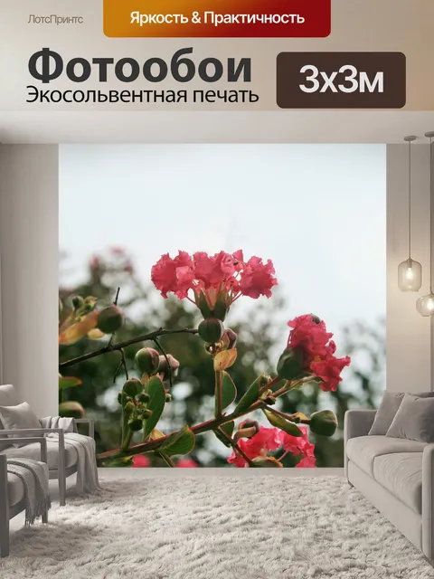 Фотообои розовый гордость Индии цветок