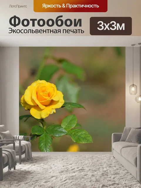 Фотообои Желтый