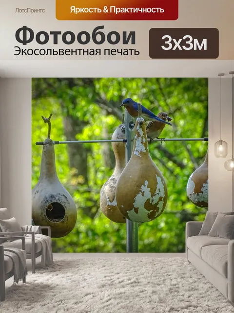 Фотообои Синяя птица