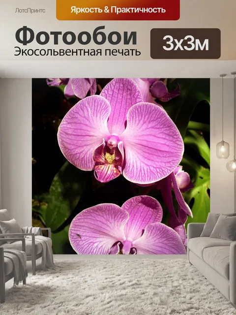 Фотообои фиолетовые орхидеи лепесток цветка
