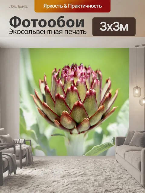 Фотообои Артишок