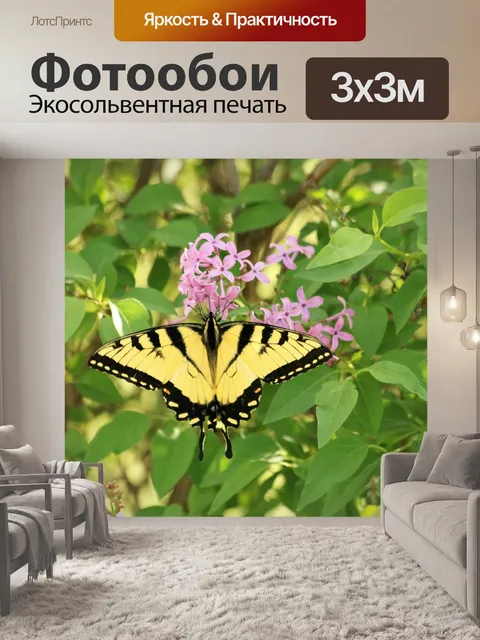 Фотообои Восточный тигр Swallowtail Butterfly