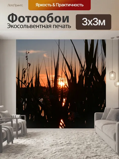 Фотообои Трава на фоне заката
