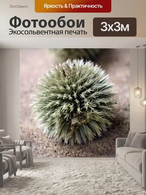Фотообои Ежик Всемогущий Бог