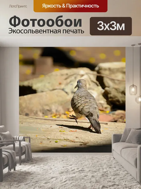 Фотообои Птица