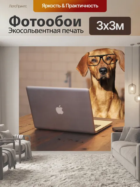 Фотообои Собака с помощью портативного компьютера