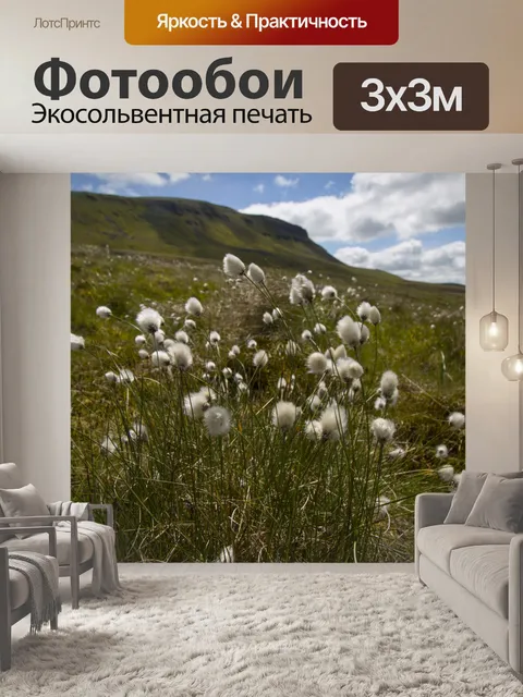 Фотообои Цветы хлопковой травы