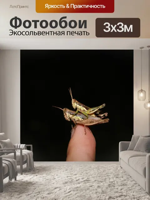 Фотообои Чау