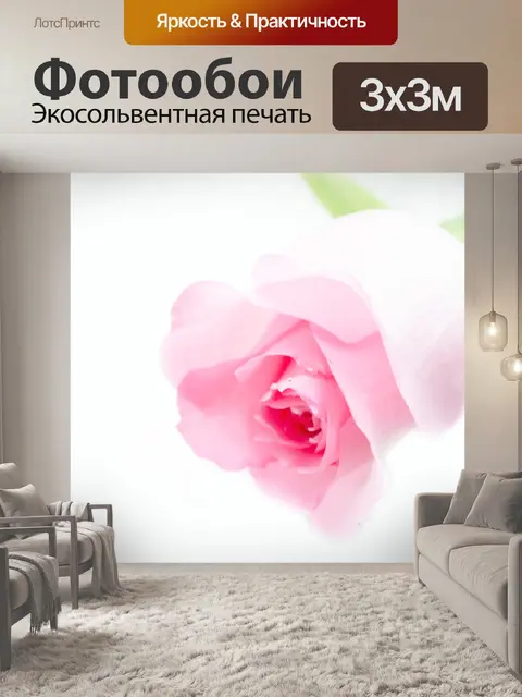 Фотообои Цветок