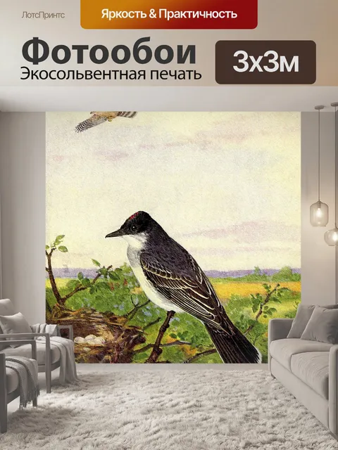 Фотообои Kingbird Vintage Bird Иллюстрация