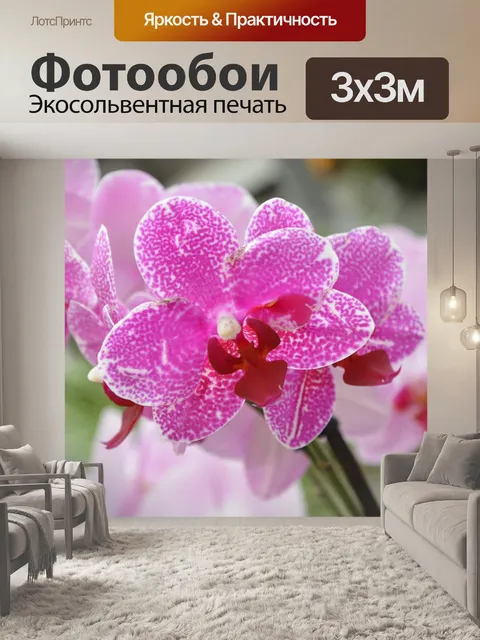 Фотообои Орхидеи