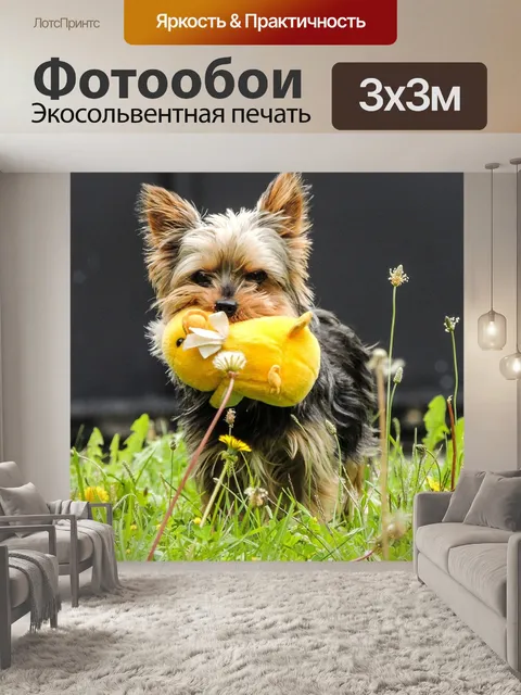 Фотообои Собака
