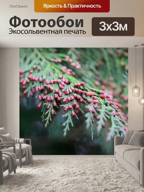 Фотообои Ель