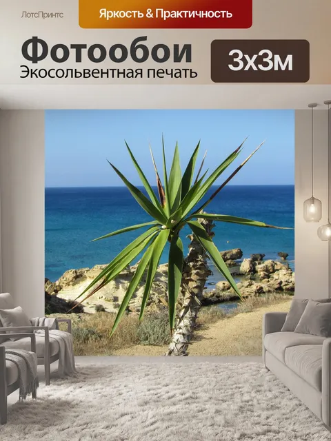 Фотообои Пальма