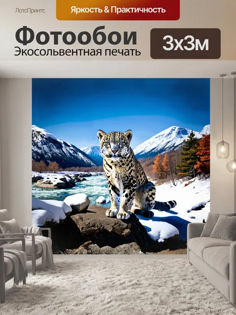 Фотообои снежный барс, величественный хищник, сидит на краю обрыва, окаймленного заснеженными скалами