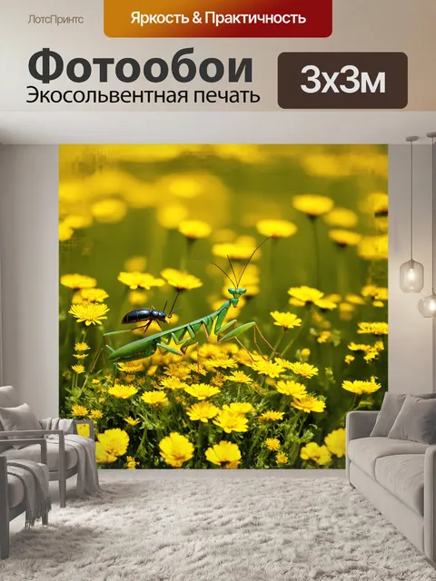 Фотообои на краю цветущего луга