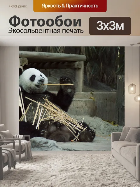Фотообои Панда