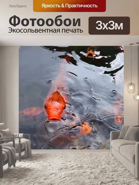 Фотообои Кои