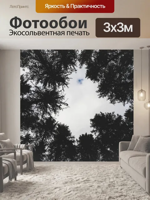 Фотообои Лес