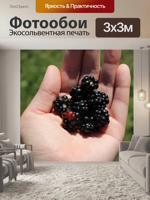 Фотообои Ежевика