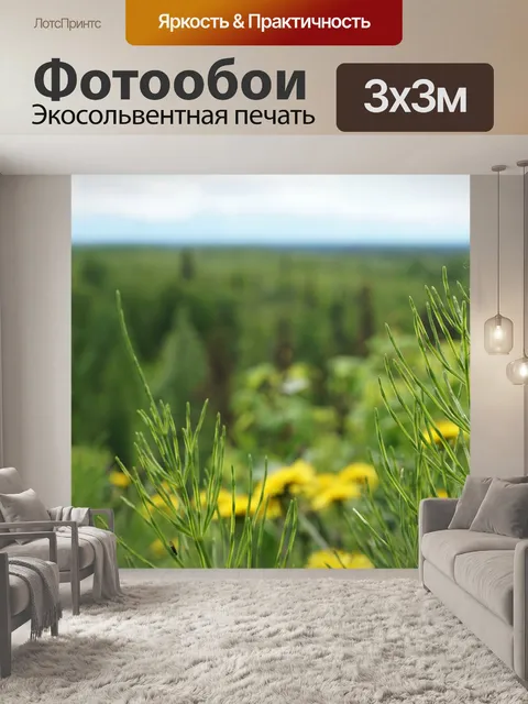 Фотообои Цветы