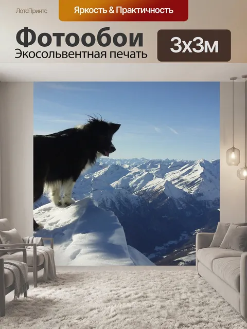 Фотообои Животное