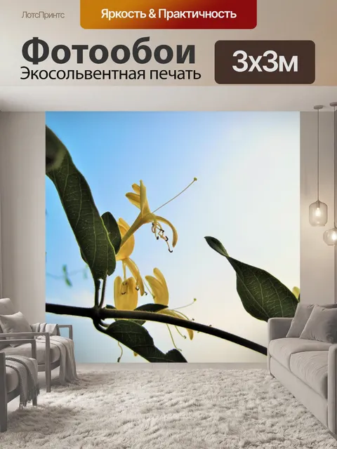 Фотообои Жимолость на фоне неба