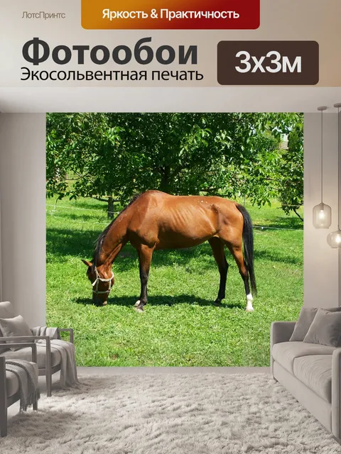 Фотообои Коричневая лошадь