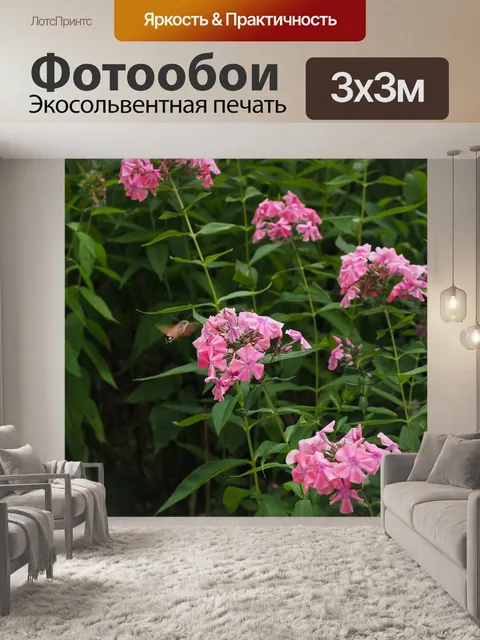 Фотообои Колибри ястреб моли