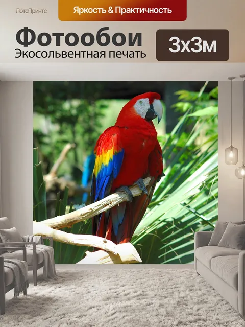 Фотообои Красочные Ара