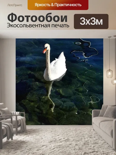 Фотообои Лебедь