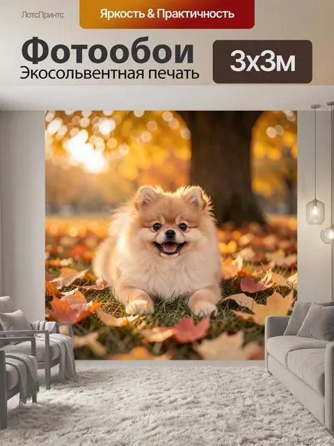 Фотообои Пушистый шпиц в осеннем парке