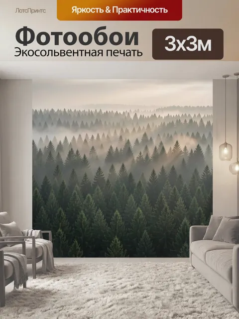 Фотообои Туманный сосновый лес утром