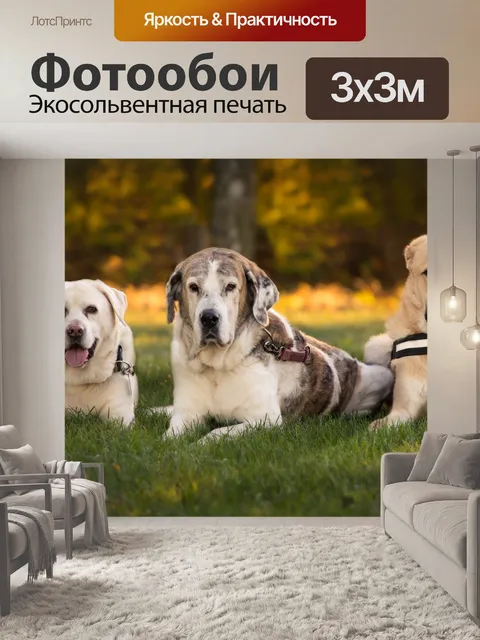 Фотообои Собаки
