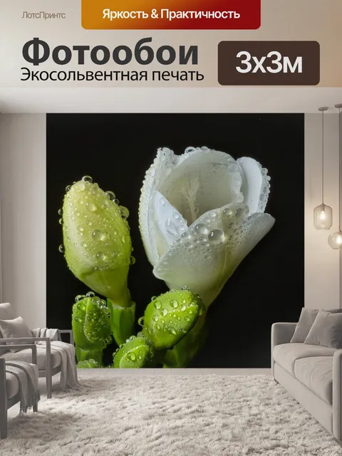 Фотообои Фрезия