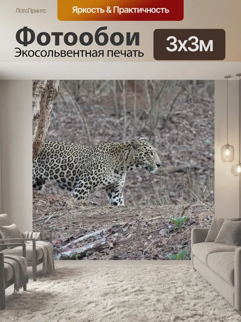 Фотообои Леопард