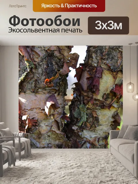 Фотообои Bark