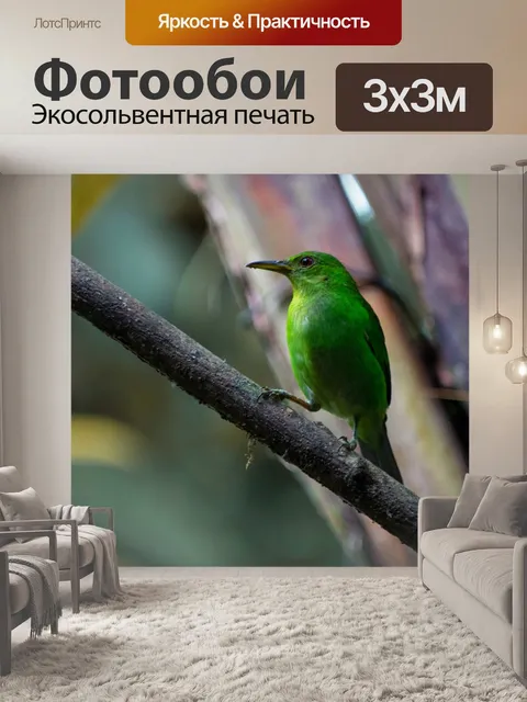 Фотообои Зеленая птица