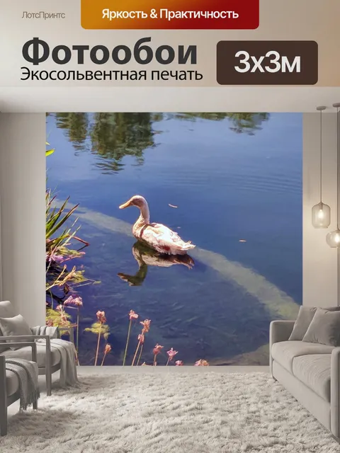 Фотообои Белая утка
