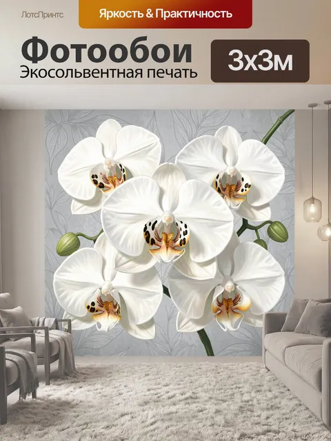 Фотообои Белые орхидеи на сером фоне