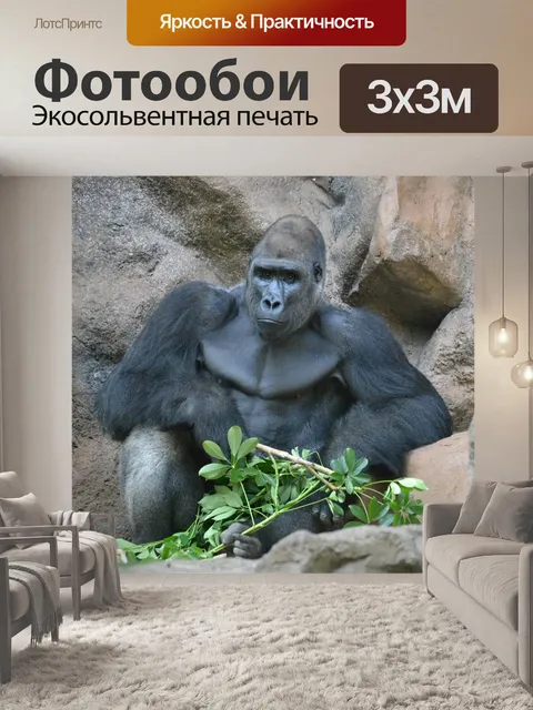 Фотообои Обезьяна