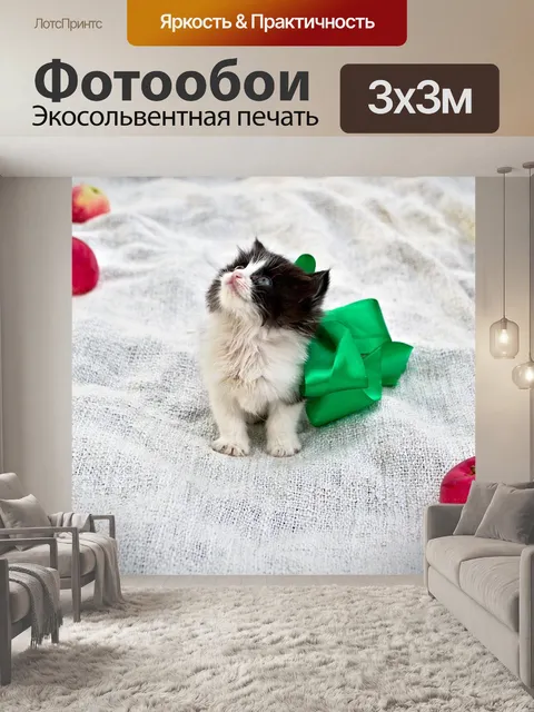 Фотообои Котенок