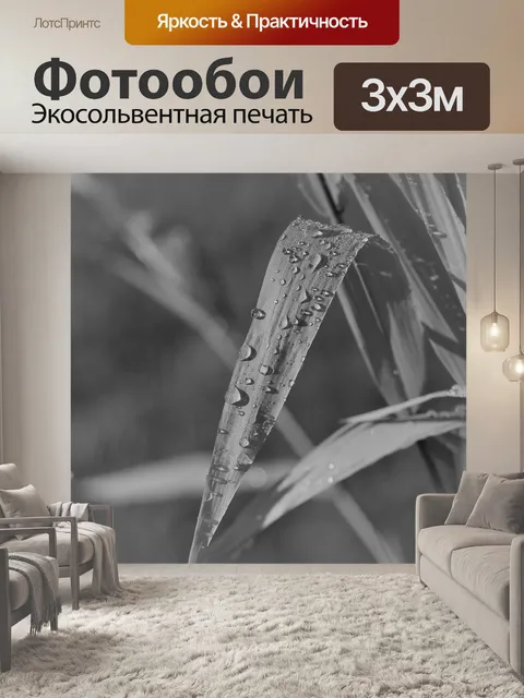 Фотообои Черно-белый