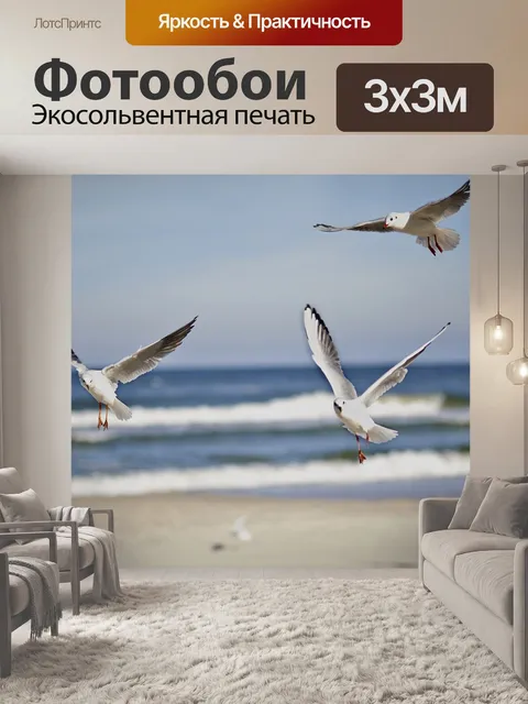 Фотообои Чайка